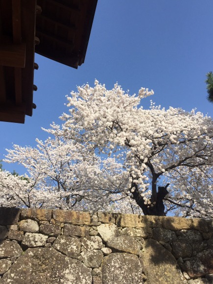 海津城のちの松代城