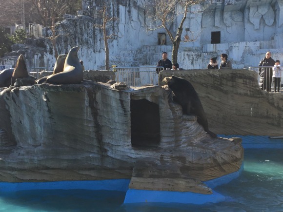 東山動物園